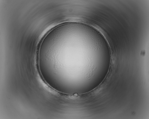 X0000114001147200910021310