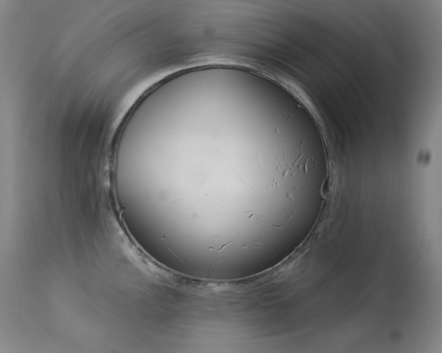 X0000114001148200910021310