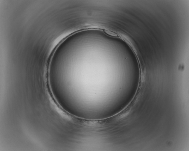 X0000114001149200910021310