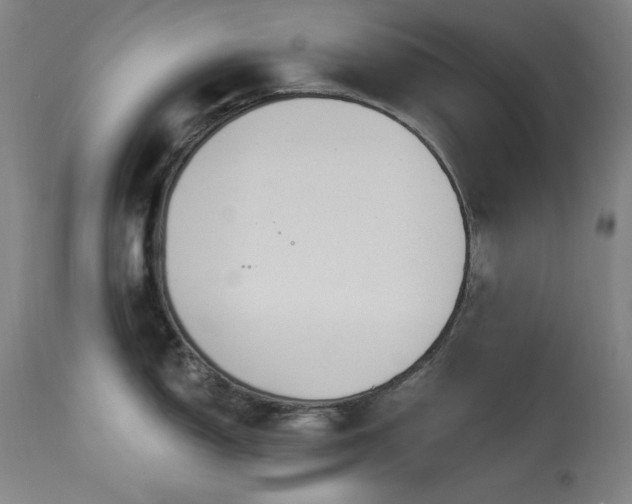 X0000114001150200910021310