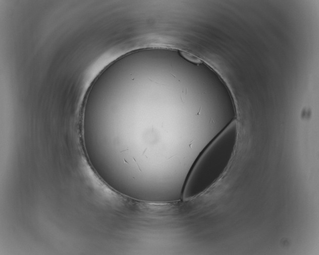 X0000114001152200910021310
