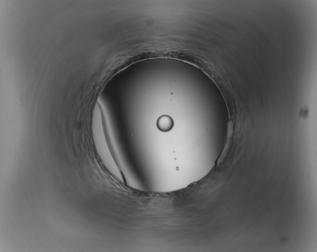 X0000114001153200910021310