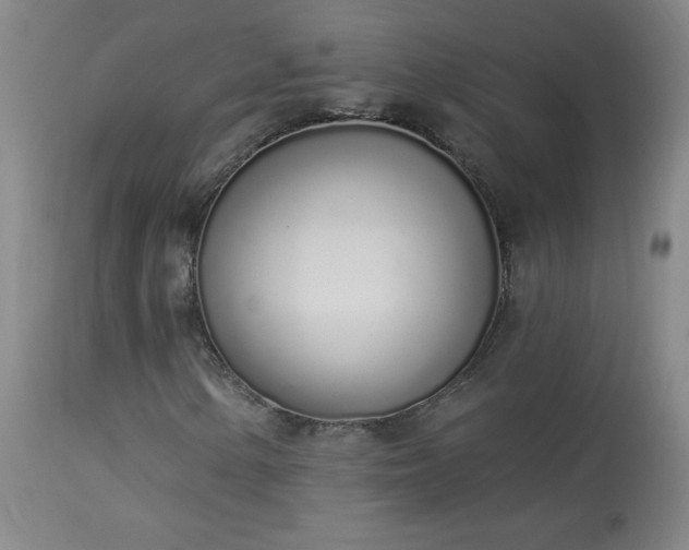 X0000114001154200910021310
