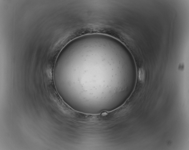 X0000114001155200910021310