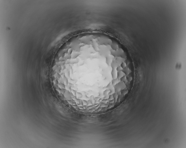 X0000114001158200910021310