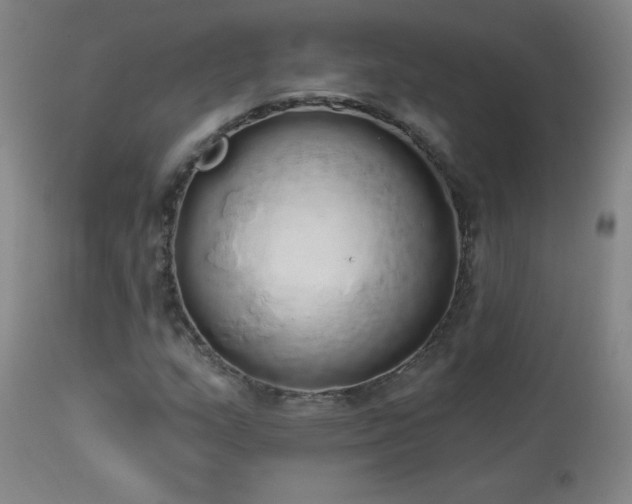 X0000114001159200910021309