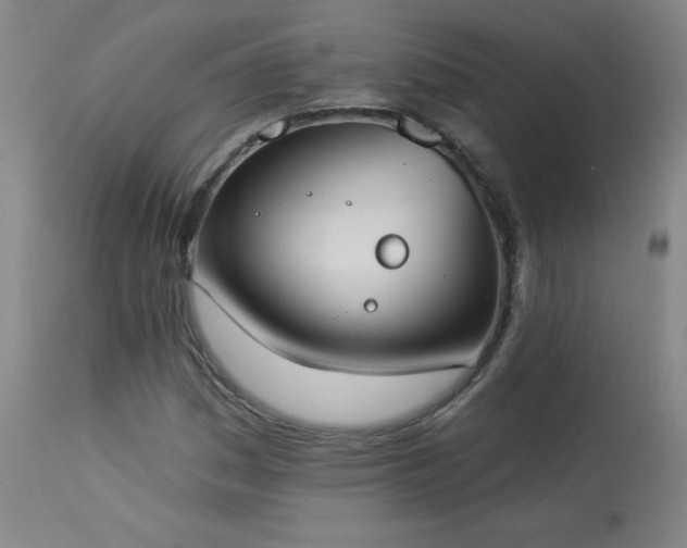 X0000114001161200910021309