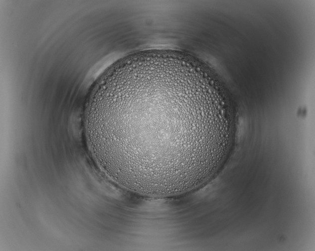 X0000114001162200910021309