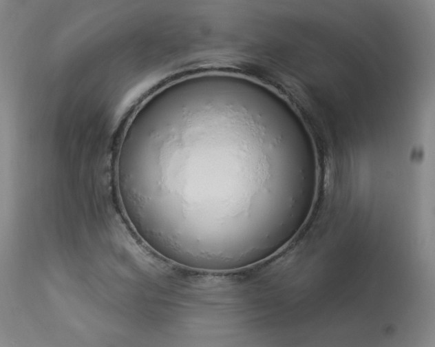 X0000114001164200910021309