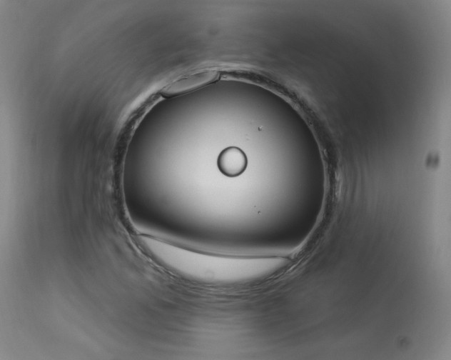 X0000114001165200910021309