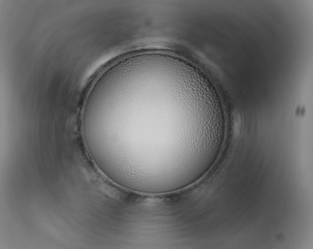 X0000114001166200910021309