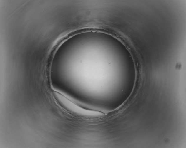 X0000114001168200910021309