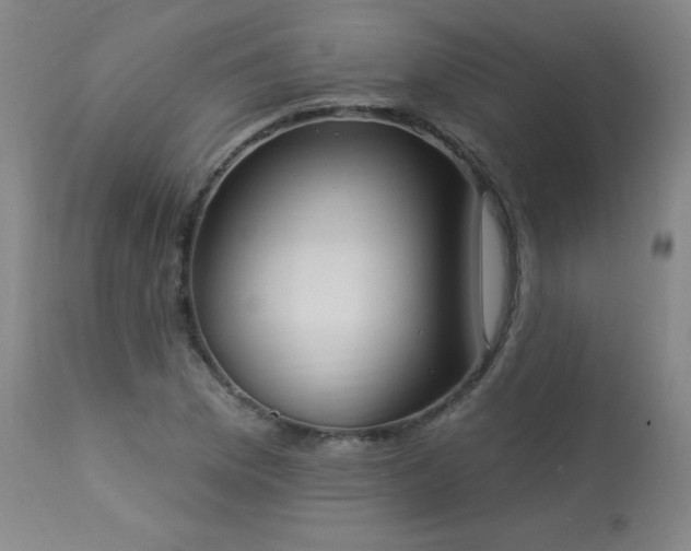 X0000114001169200910021309