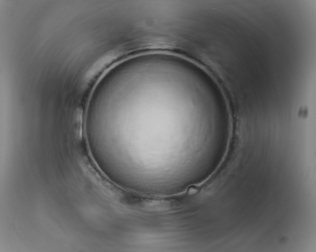 X0000114001171200910021309