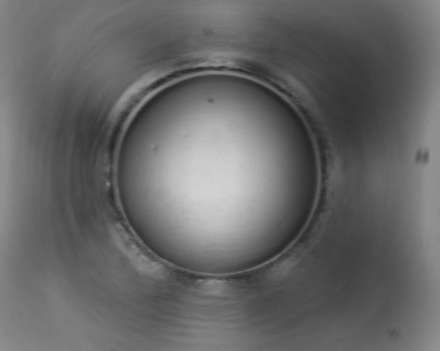 X0000114001172200910021309