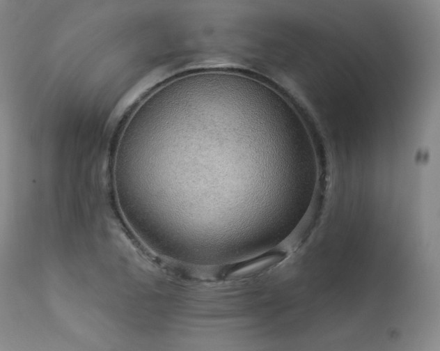 X0000114001173200910021309