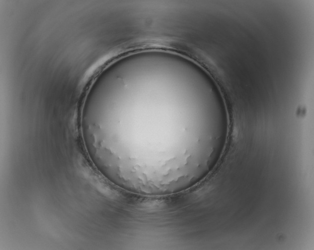 X0000114001174200910021309