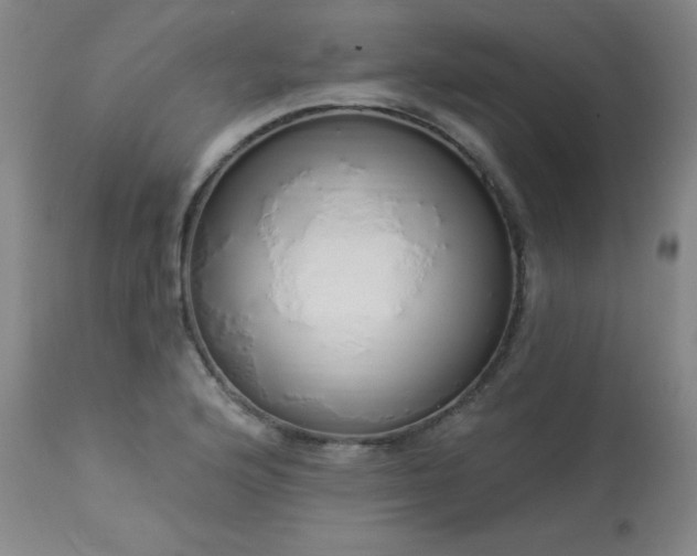 X0000114001176200910021309