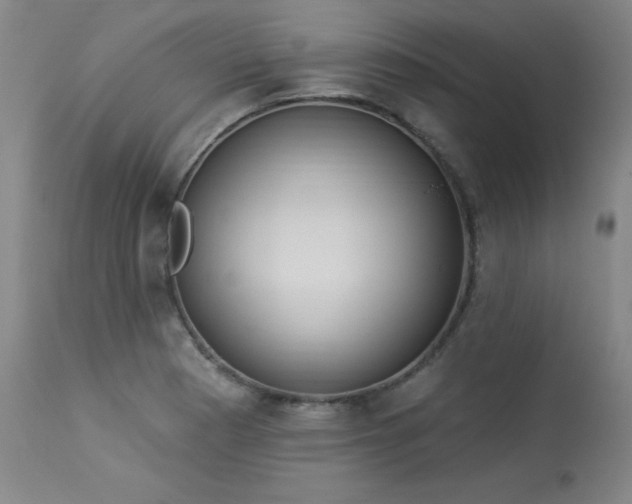 X0000114001177200910021309