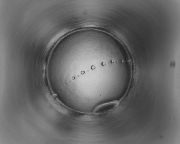 X0000114001179200910021309
