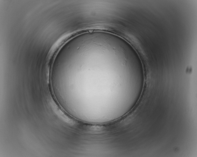 X0000114001180200910021309