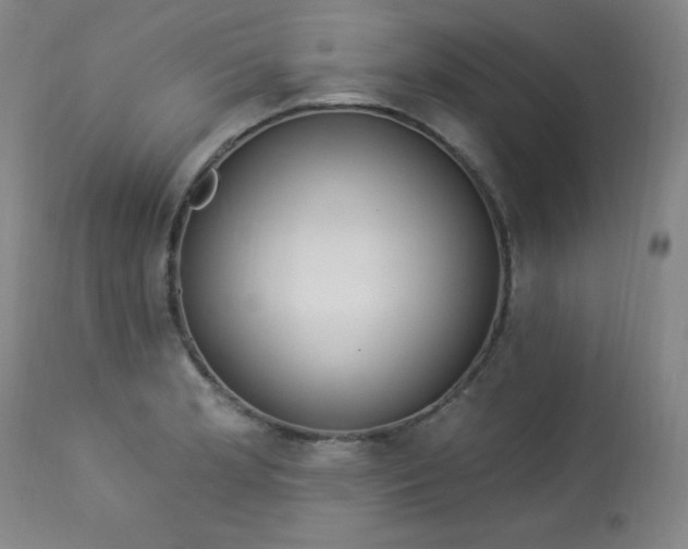 X0000114001181200910021309