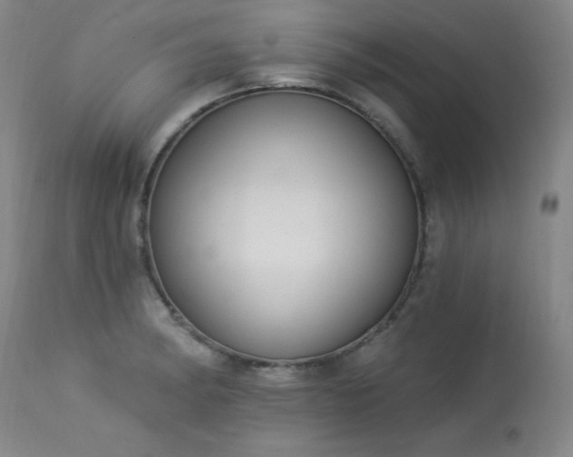 X0000114001182200910021309