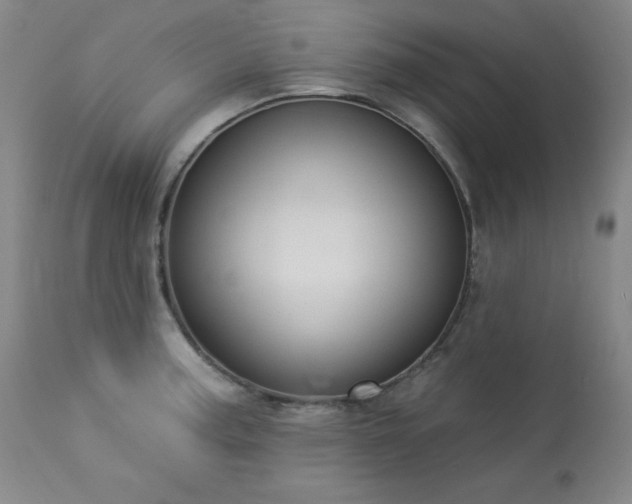 X0000114001187200910021309