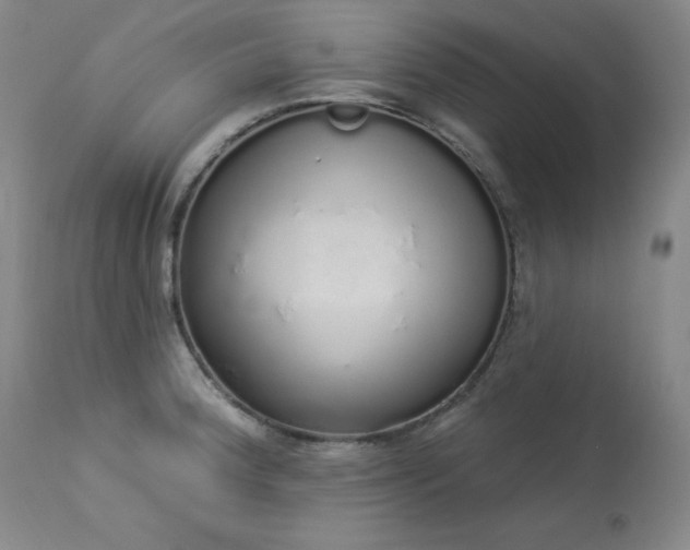 X0000114001188200910021309