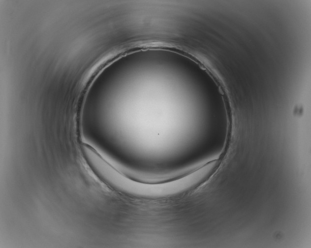X0000114001189200910021309