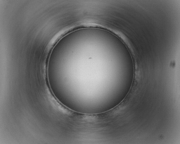 X0000114001191200910021309