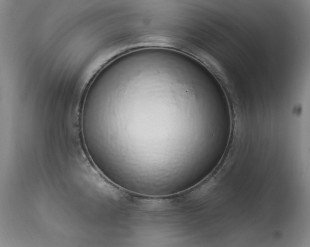 X0000114001192200910021309