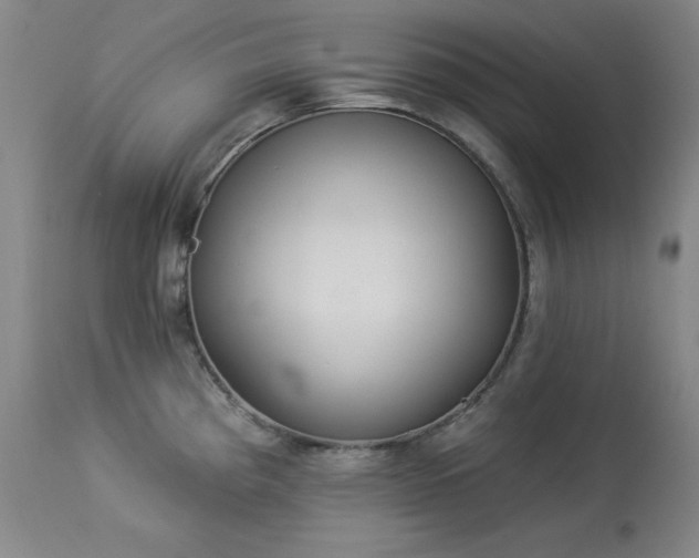 X0000114001193200910021309