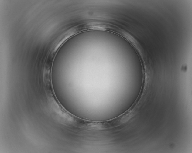 X0000114001194200910021309