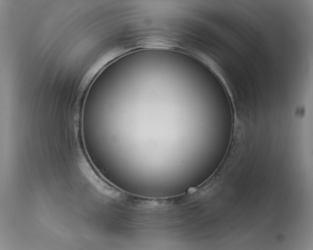 X0000114001195200910021309