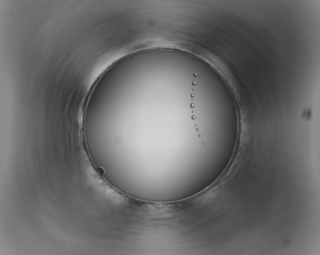 X0000114001198200910021309