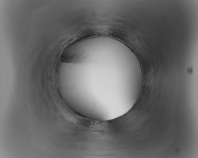 X0000114001201200910021308