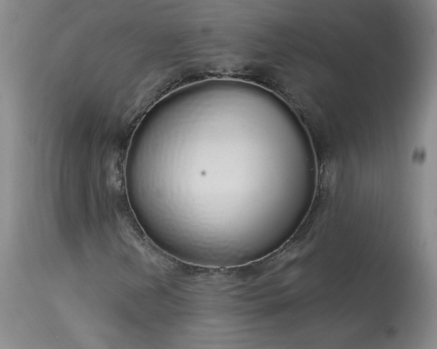 X0000114001202200910021308