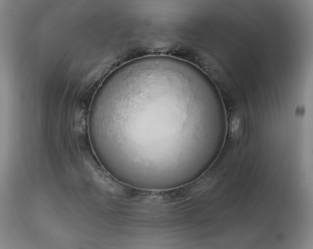 X0000114001204200910021308