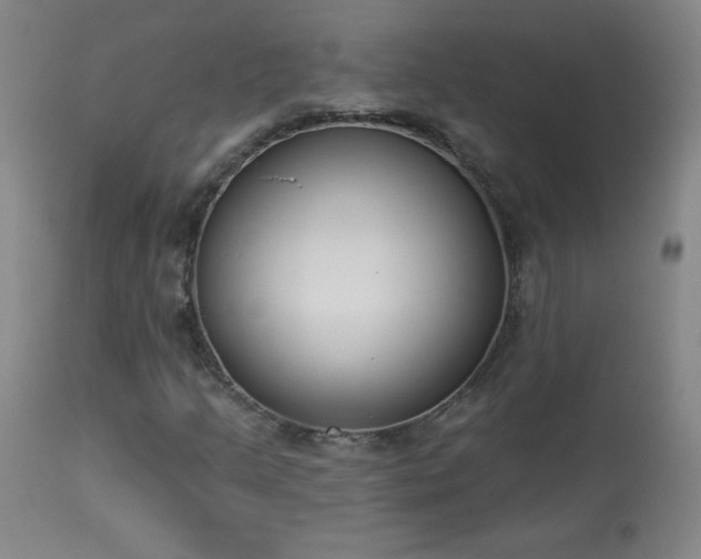 X0000114001205200910021308