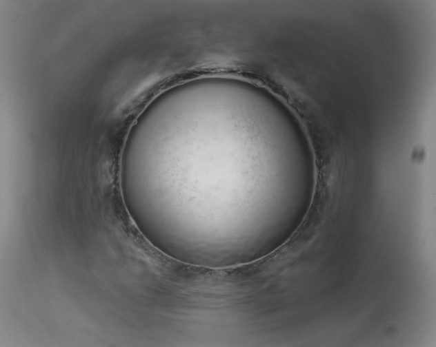 X0000114001206200910021308