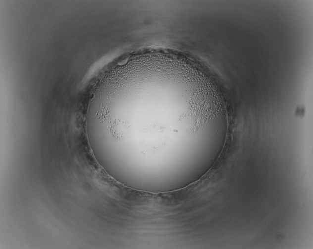 X0000114001207200910021308