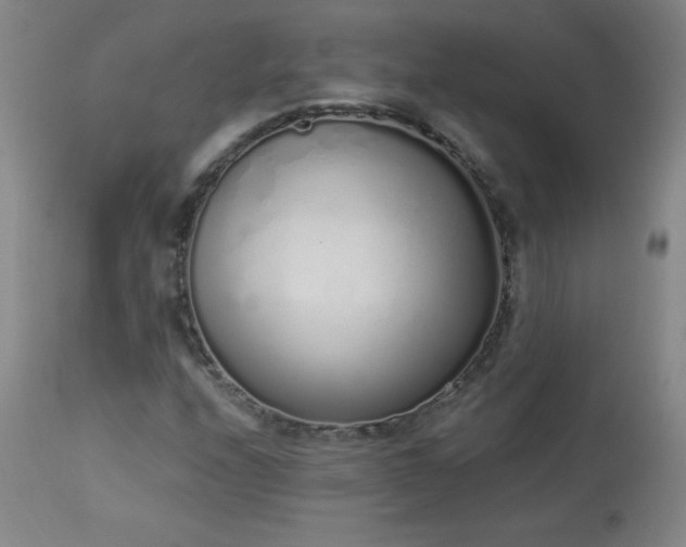 X0000114001208200910021308