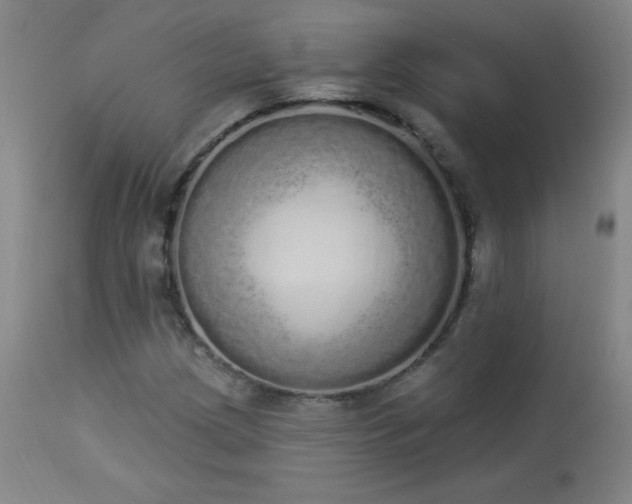 X0000114001209200910021308