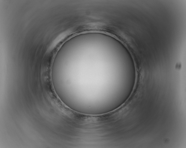 X0000114001211200910021308