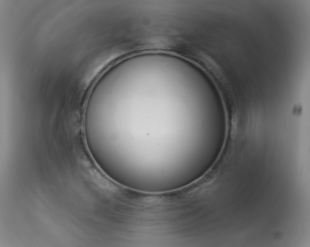 X0000114001212200910021308