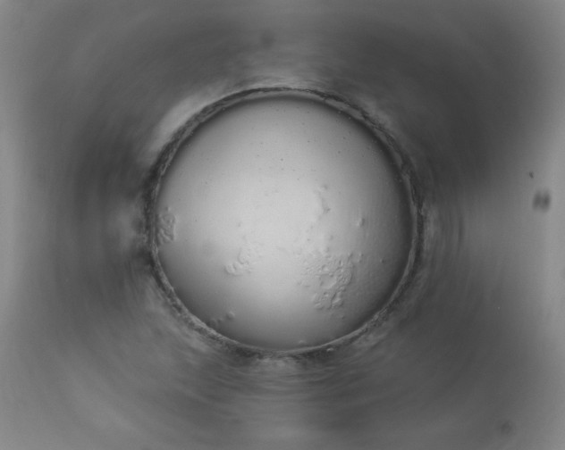 X0000114001215200910021308