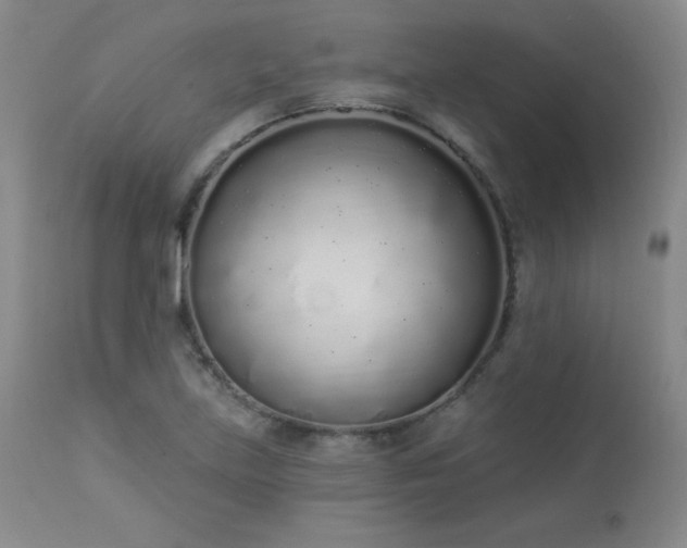 X0000114001219200910021309