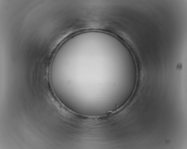 X0000114001220200910021309