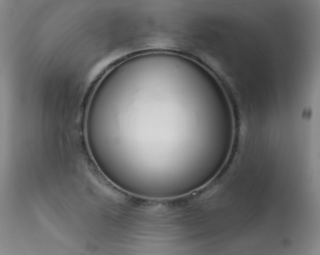 X0000114001222200910021309